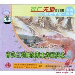 南美白對(duì)蝦海水養(yǎng)殖技術(shù)詳解