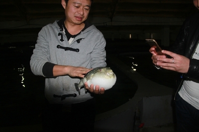 大連啟航“海魚陸養”保險，海水養殖技術研發迎來新機遇
