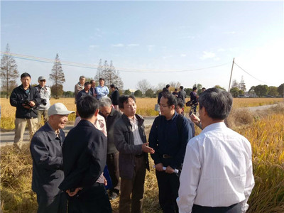 發揮學科優勢，助力崇明建設——化分學院分析-物化聯合黨支部“主題黨日”活動聚焦海水養殖技術研發