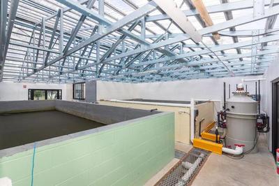 內陸循環海水養蝦新突破 手掌大規格蝦亮相，口感營養比肩北極甜蝦